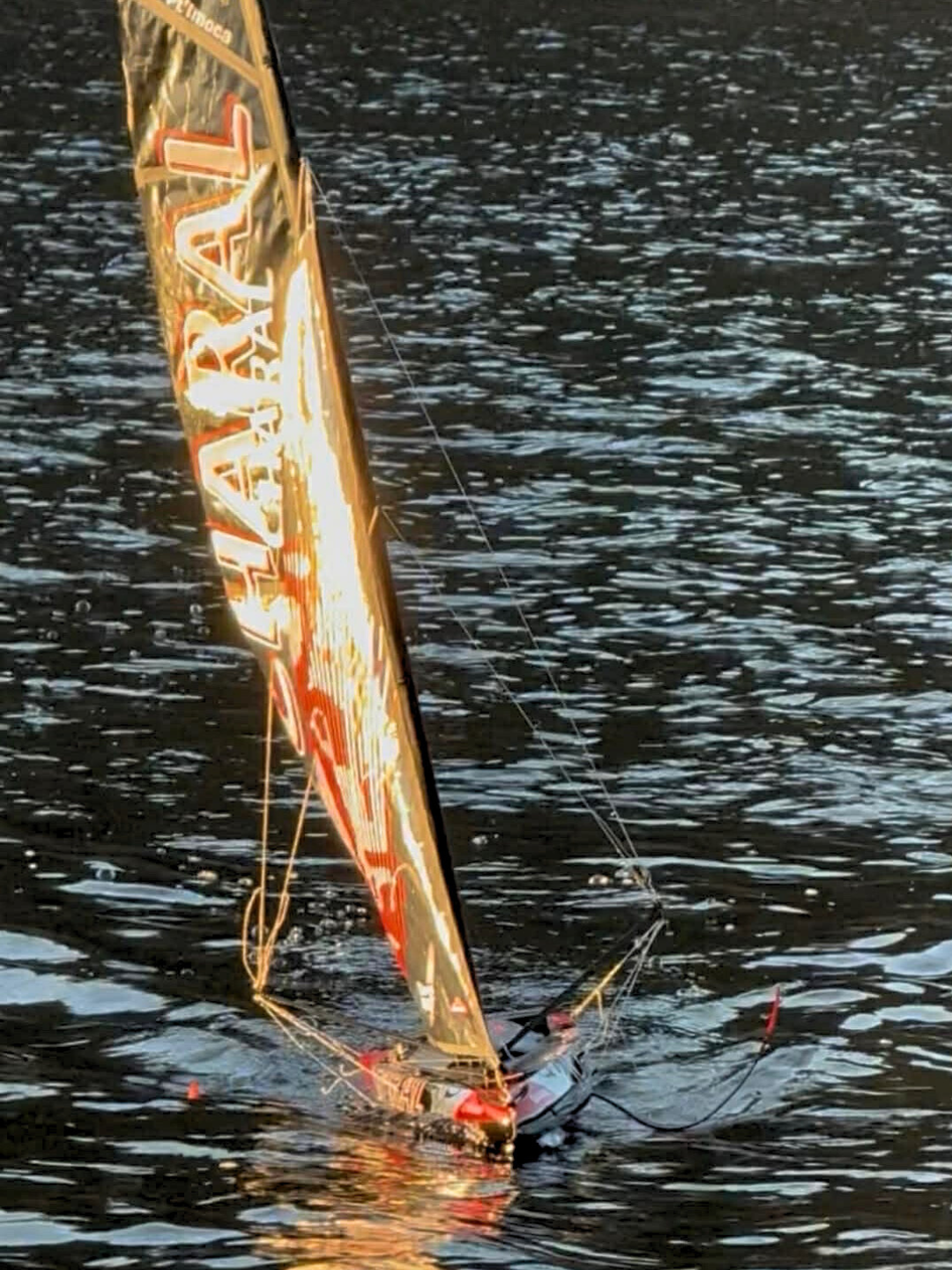 Voilier ⎸ Pt'IMOCA ⎸ Prêt à naviguer