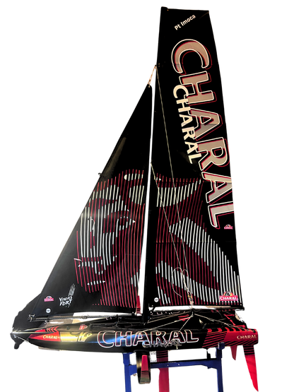 Voilier ⎸ Pt'IMOCA ⎸ Prêt à naviguer