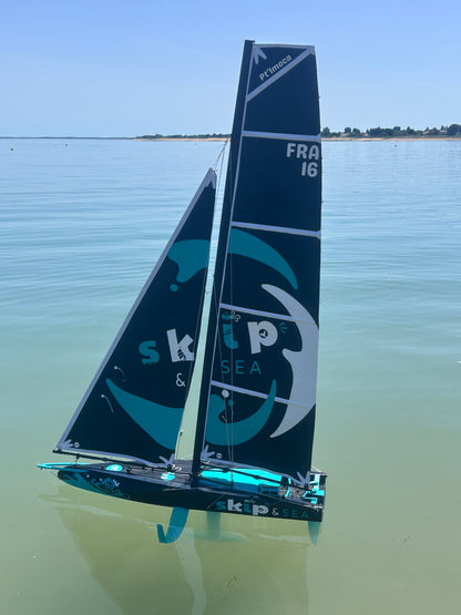 Voilier ⎸ Pt'IMOCA ⎸ Prêt à naviguer