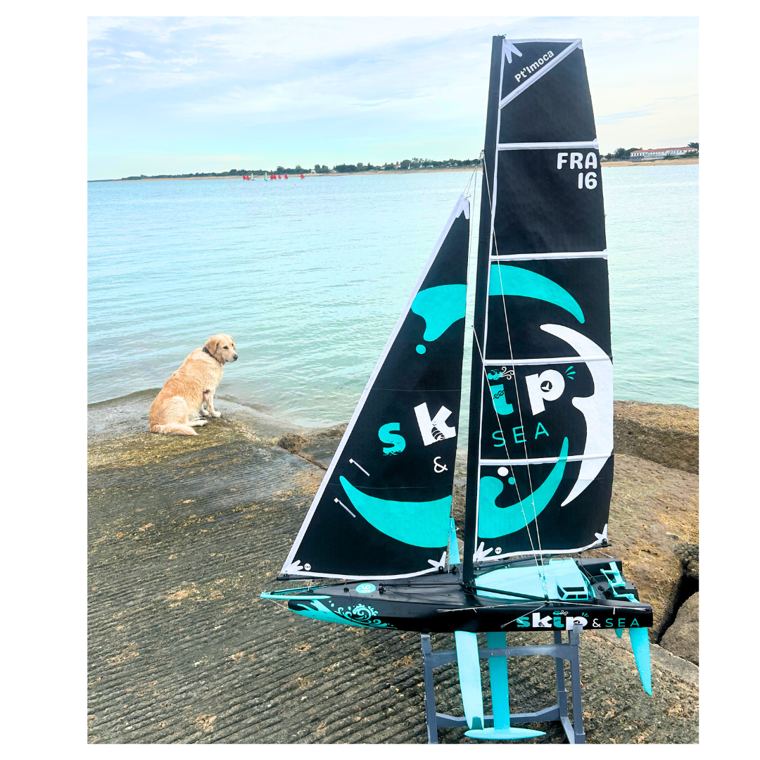 Voilier ⎸ Pt'IMOCA ⎸ Prêt à naviguer