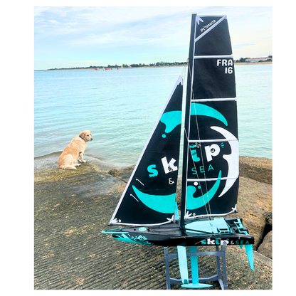 Voilier ⎸ Pt'IMOCA ⎸ Prêt à naviguer