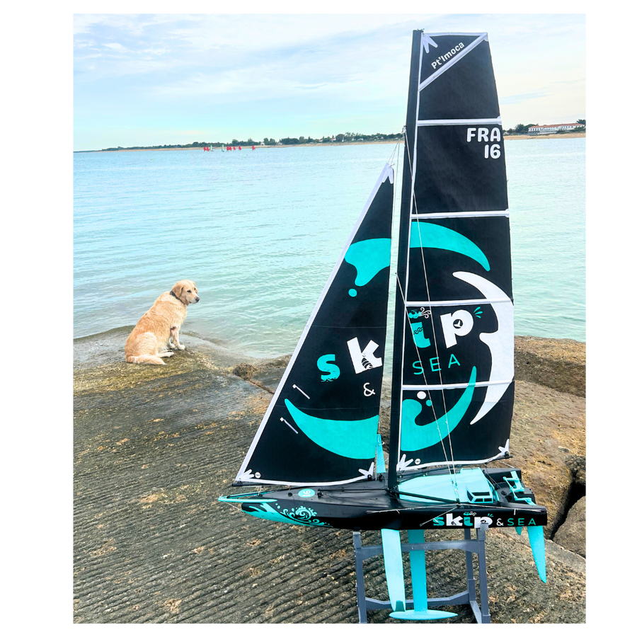 Skip and Sea RC - Shop Voiles et Voiliers RC – SKIP AND SEA SARL ...